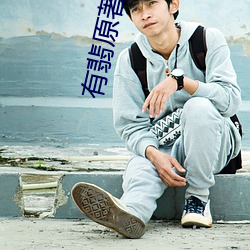 有翡原著小說