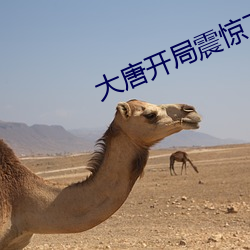 大唐开局震惊了李世民