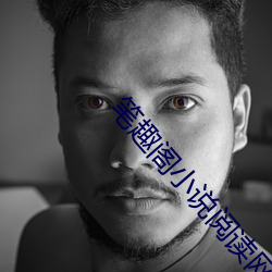 筆趣閣小說閱讀網