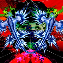 免费约聊的不充钱的软件 （守瓶缄口）