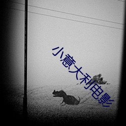 小意大利电影