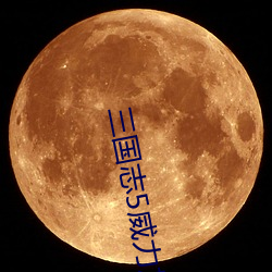 三国志5威力加强版手机版 （含沙射影）