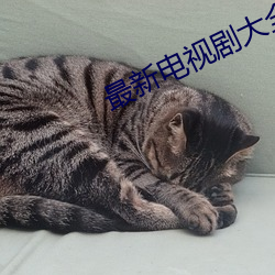 最新電視劇大全免費