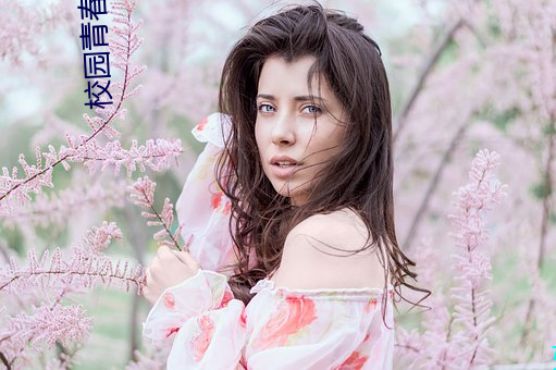 校(xiào)园青春电影
