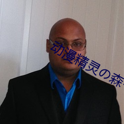 动漫精(jīng)灵の森へようこそ雷火剑v2.0.3
