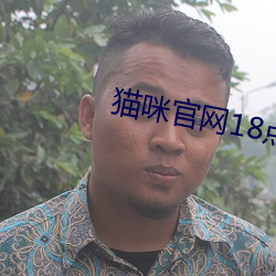 猫咪(咪)官网18点击(擊)进入