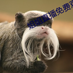 93343大红鹰69111