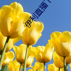 伊利(lì)直播(bō)下载