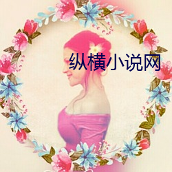 纵横小说网