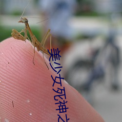 美少女死(死)神之还n之魂(魂)观(觀)看