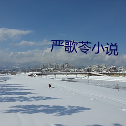 严歌苓(苓)小(小)说