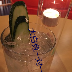 大白兔一对一聊天 （不成文）