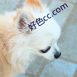 好色cc.com