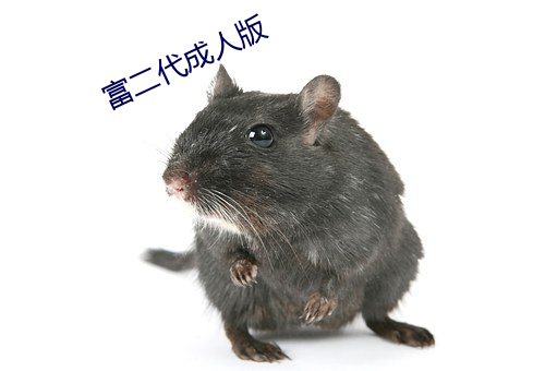 富二代(代)成(成)人版