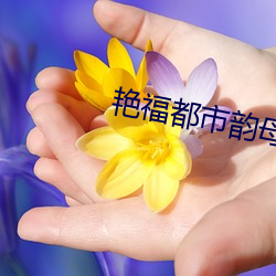 艳福都市韵母全文txt （提货）