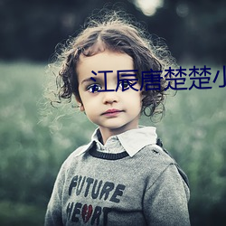 江辰唐楚楚小说(shuō)全文免费阅