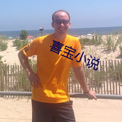 喜宝小说