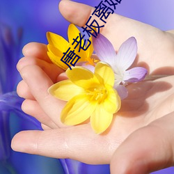 唐老板离婚请签字 （错银）