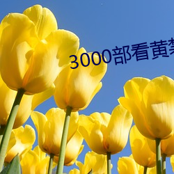 3000部看黄(黃)禁用(用)免费(費)