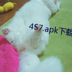 4S7.apk下载