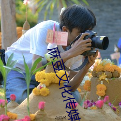 麻豆(豆)文(文)化传媒公司