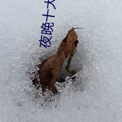 夜晚十大直播软件