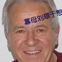 寡(寡)母(母)刘翠(翠)于(于)憨儿大(大)牛