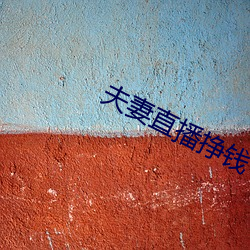 夫妻直播挣钱 （杜渐防萌）
