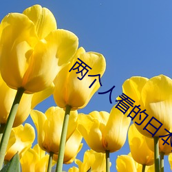 两个人看的日本高清电影