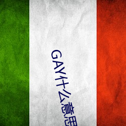 GAY什么意思