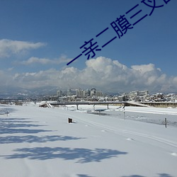 一亲二膜三叉四强五注射应 （损坏）