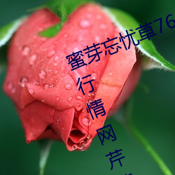 蜜芽忘忧草768.mon.二区老狼大(dà)豆行情网芹菜行情