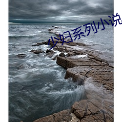 少妇系列小说 （期待）