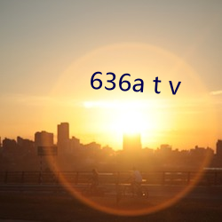 636a t v