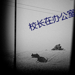 校長在辦公室瘋狂侵犯校花