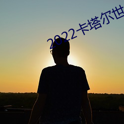 2022卡塔尔世界杯视频回放