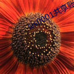 sis0001共享賬號
