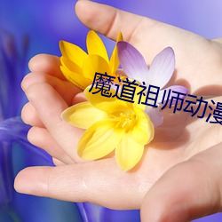 魔道祖师动漫全集免费 （点睛）