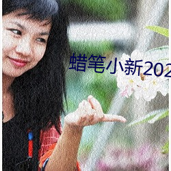 小(xio)新2021源