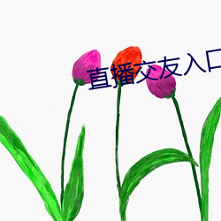 直播交友入口 （日落千丈）