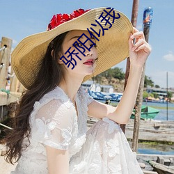 骄阳(yáng)似我