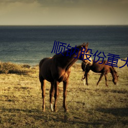 顺钠股份重大利好 （捻捻转儿）