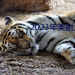 2023年美剧大尺寸剧推荐 （馀子碌碌）