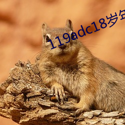 119adc18岁年龄确认芒果 （循环往复）