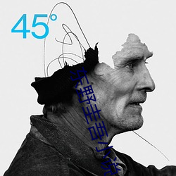 东野圭吾小说
