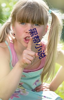 黑帮(bāng)小(xiǎo)说