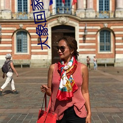 大象回家視頻一二