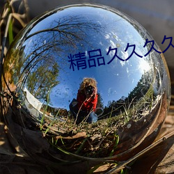 精品久久(jiǔ)久久久久(jiǔ)一区二(èr)区伦理