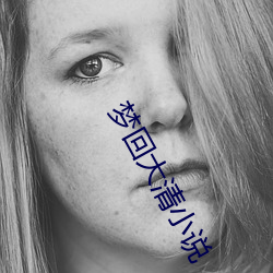 梦回大清(清)小(小)说