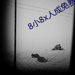 8小8x人成免费伊甸区入口